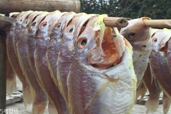 咸鱼怎么制作,咸鱼的制作方法