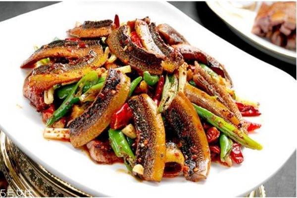 鳝鱼生活在什么地方,鳝鱼的生活环境是什么样的