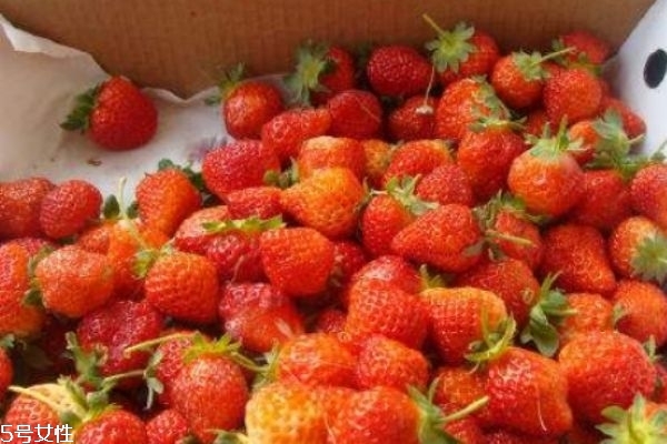 多吃草莓有什么好处和坏处,吃草莓有什么功效 多吃草莓有什么好处和坏处,吃草莓有什么功效