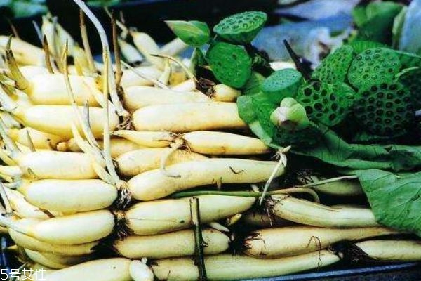 莲藕的功效有哪些,莲藕的功效和作用我看看那个咋说的吧 莲藕的功效有哪些,莲藕的功效和作用我看看那个咋说的吧