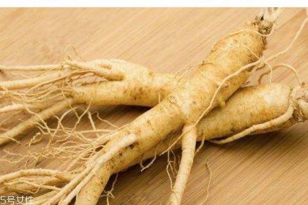 红参和人参有啥区别,人参和红参是一种吗