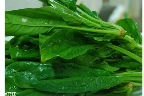 菠菜的营养价值是什么?,菠菜的营养有哪些