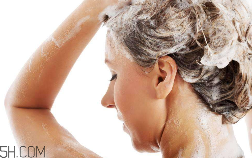 无硅油洗发水哪款好用,无硅油洗发水推荐 无硅油洗发水哪款好用,无硅油洗发水推荐