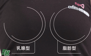 你属于哪种胸型,胸以下是什么