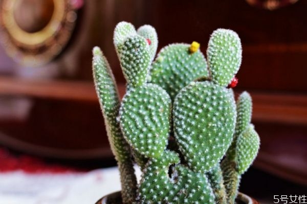 美食减肥两不误,工作减肥两不误