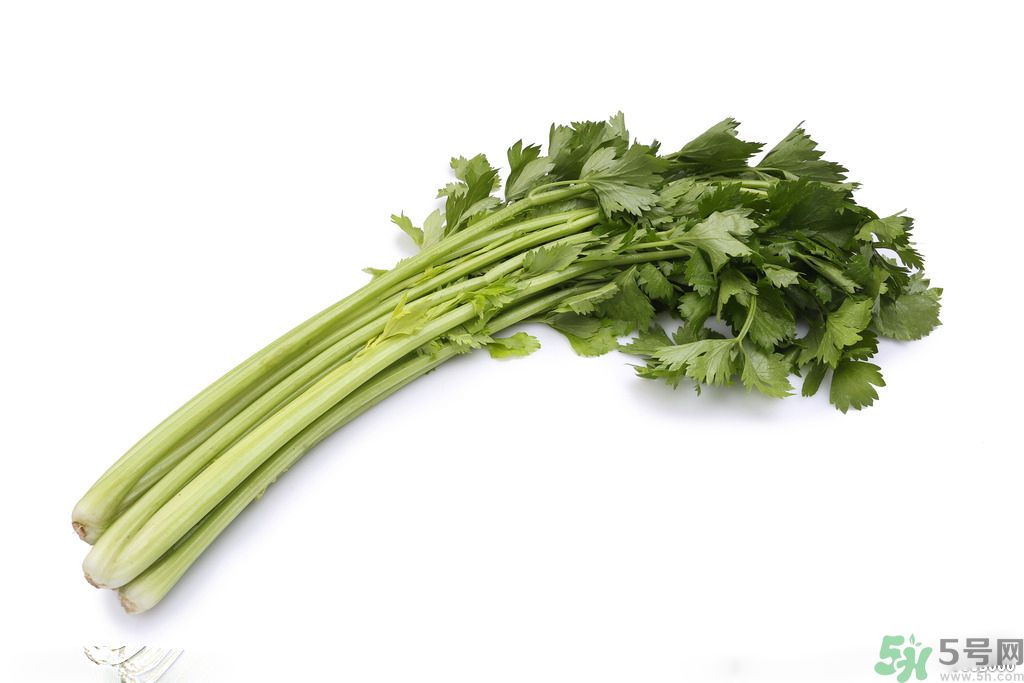 芹菜的作用和功效,芹菜的作用和功效禁忌