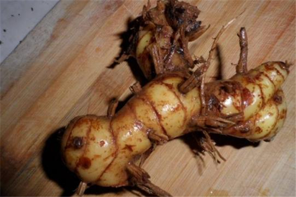 洋姜为什么又叫鬼子姜,洋姜为啥叫鬼子姜