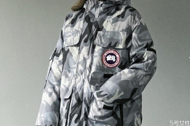 加拿大鹅远征款和普通款有什么区别,加拿大鹅远征款和普通版