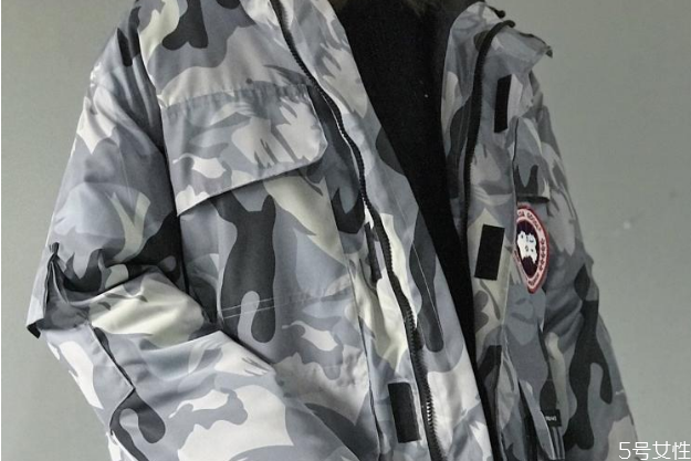 加拿大大鹅如何鉴别,加拿大鹅如何鉴别真伪