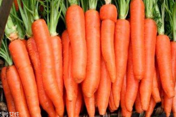 什么人群不适合吃胡萝卜,哪些人群不适合吃胡萝卜