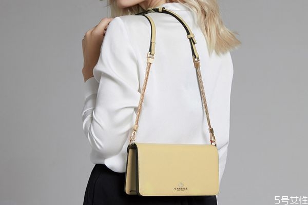 cassile的包一般多少钱,cassile女包价格