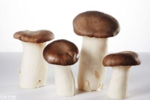 杏鲍菇有毒吗?,没熟的杏鲍菇有毒吗