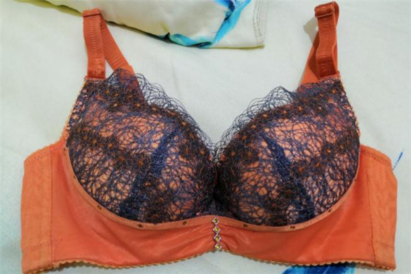 奥尔黛丝内衣介绍,奥尔黛丝气血调养内衣价格