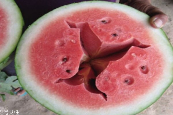 西瓜空心的原因是什么,西瓜空心的原因 西瓜空心的原因是什么,西瓜空心的原因