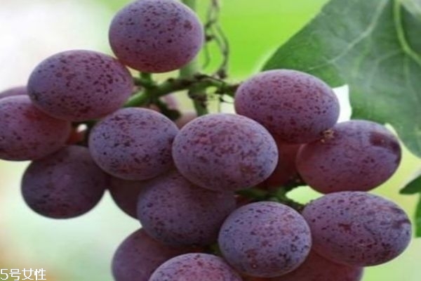 多吃葡萄的好处和坏处,多吃葡萄干好吗