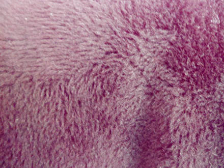 不倒绒的优缺点,不倒绒好吗