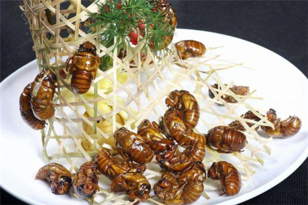 知了猴放冰箱怎么保存不变质,知了猴放冰箱怎么保存