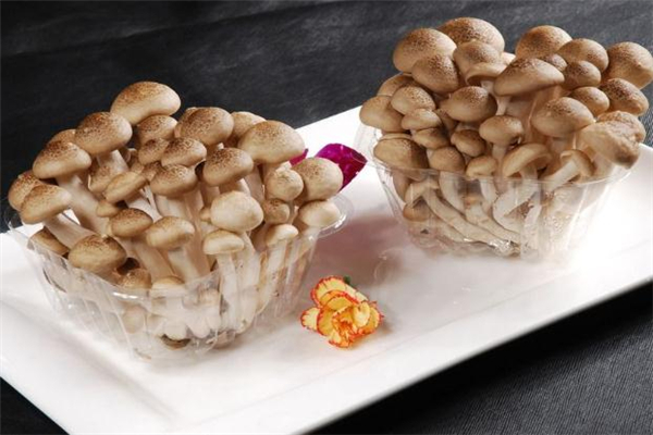 蟹味菇发霉还能吃吗,蟹味菇过期了还能吃吗