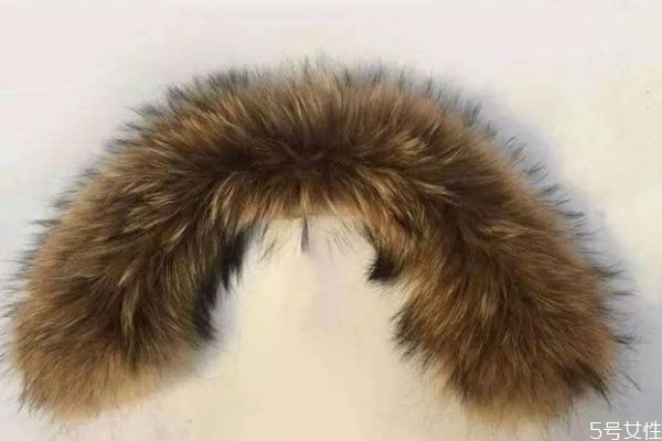 毛领变绿了是什么原因,毛领变色发绿色什么原因 毛领变绿了是什么原因,毛领变色发绿色什么原因