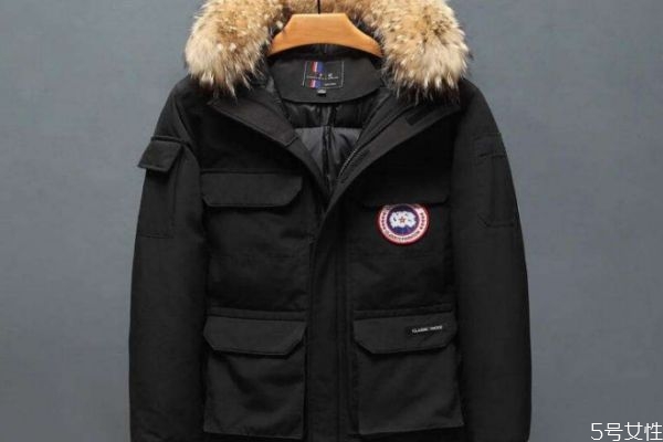 11度穿卫衣会不会冷,最低气温11度穿什么衣服 11度穿卫衣会不会冷,最低气温11度穿什么衣服