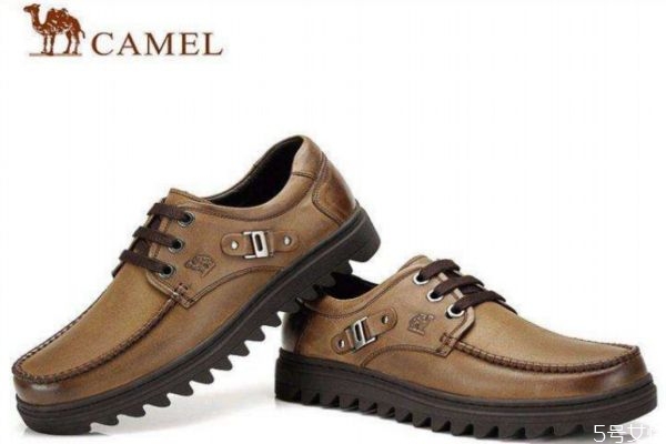 camel和骆驼牌有什么区别?,camel骆驼和骆驼牌有什么区别