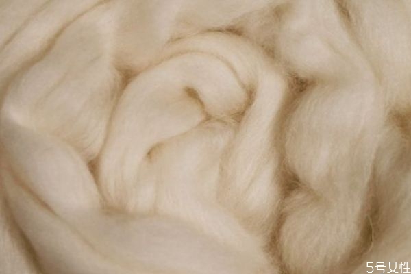 打底加绒裤什么绒最好,加绒裤什么绒最保暖