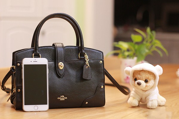 coach的dreamer系列大小,coach dreamer限量款