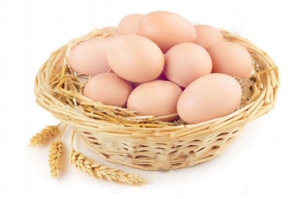 土鸡蛋比普通鸡蛋更有营养吗,鸡蛋和土鸡蛋的营养对比 土鸡蛋比普通鸡蛋更有营养吗,鸡蛋和土鸡蛋的营养对比