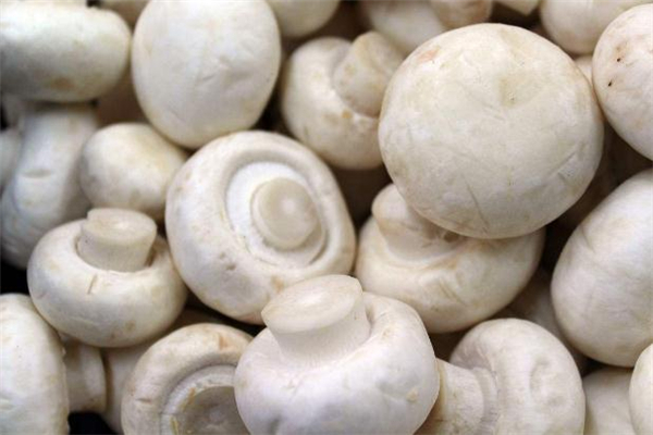 宝宝吃口蘑的做法大全,口蘑的吃法大全家常菜 宝宝吃口蘑的做法大全,口蘑的吃法大全家常菜