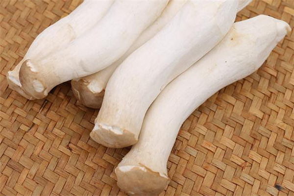 杏鲍菇炒肉的做法需要焯水吗,蘑菇炒肉怎么做