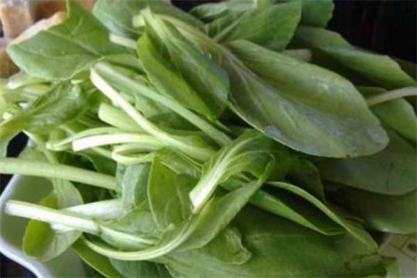 鸡毛菜涮火锅好不好吃,鸡胗涮火锅好吃吗