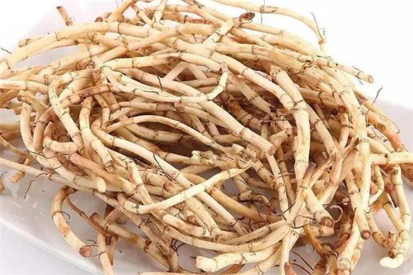 菊花鱼腥草可以一起泡茶吗,鱼腥草菊花茶的功效