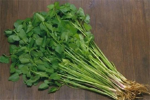 吃水芹菜会胖吗,芹菜吃了会胖吗