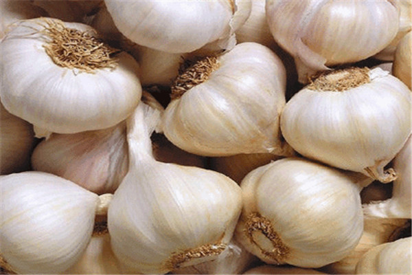 吃大蒜了怎么去除口臭,吃了大蒜怎样快速解决口臭