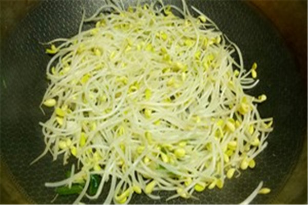 黄豆芽绿豆芽区别,黄豆芽绿豆芽区别 外观 黄豆芽绿豆芽区别,黄豆芽绿豆芽区别 外观