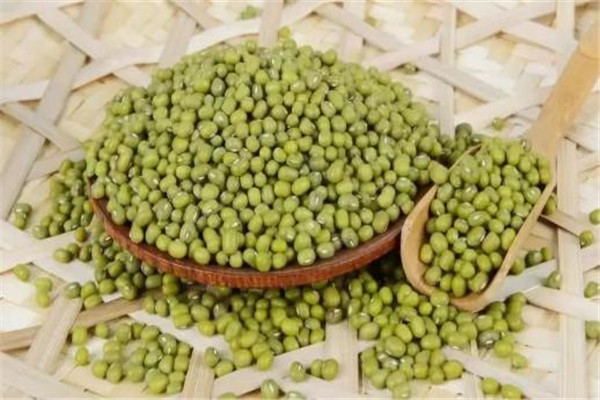 吃绿豆的好处和功效,吃绿豆的好处和坏处