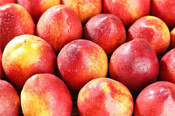 核桃油怎样才能长时间保存,桃怎么保存可以时间久