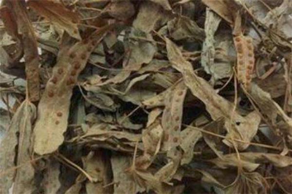 鸭脚草炖汤有什么功效,鸭脚煲汤有什么功效