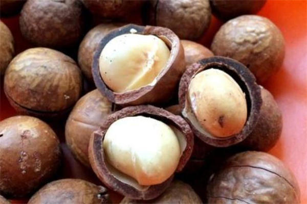 夏威夷果受潮了怎么办,夏威夷果受潮了还能吃吗