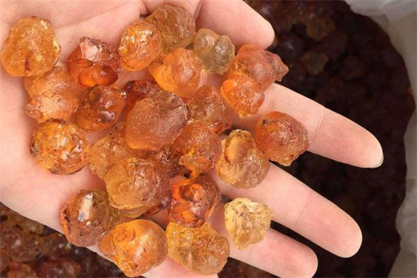 桃胶泡多了怎么保存?可以保存多久?,发泡了的桃胶能保存多久