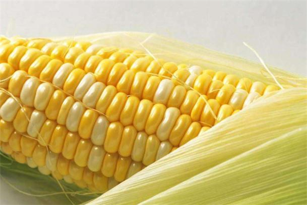 糖尿病吃甜玉米好吗,糖尿病患者吃玉米好吗