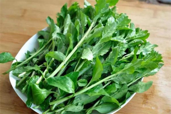 马兰头一定要焯水后才能吃吗?,马兰头焯水多久