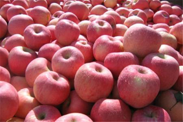 哺乳期苹果怎么吃,哺乳期吃苹果注意事项