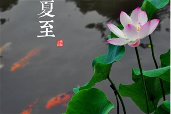 夏至的禁忌,夏至的禁忌和适宜