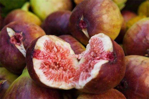 无花果的籽是寄生虫吗,无花果的果实里面有寄生虫吗