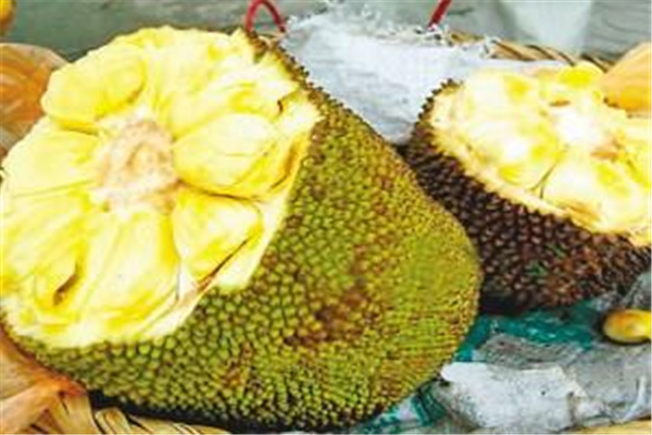 菠萝蜜的吃法有哪几种,菠萝蜜的正确剥法