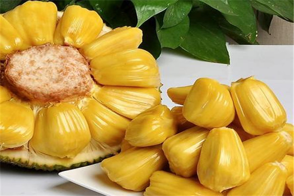带皮菠萝蜜怎么挑选,菠萝蜜的皮