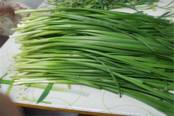 韭菜的禁忌食物有哪些,吃韭菜的禁忌