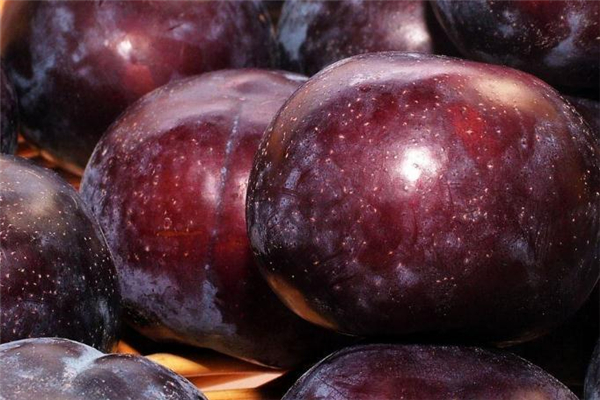 黑布林吃多了会怎样会胖吗,黑布林吃多了会怎样