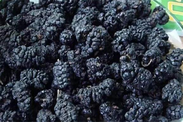 桑葚干泡水什么人不能喝,桑葚干泡水不能常喝 桑葚干泡水什么人不能喝,桑葚干泡水不能常喝